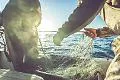 Pesca siciliana in crisi, spiragli dall'Europa. Il commissario in Sicilia: &laquo;Riforma entro l&rsquo;anno&raquo;