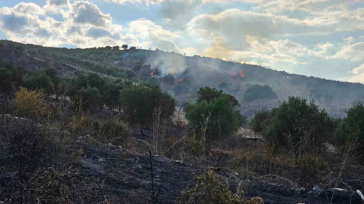 Rogo devastante tra Cattolica Eraclea e Montallegro: piromane brucia ettari di colture, minacciate le case