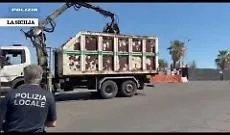 Blitz della Polizia di Catania a Ognina: rimosse installazioni abusive e 20 sacchi di rifiuti