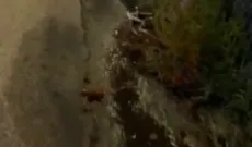 Perdita d'acqua potabile notturna da oltre un anno in via Alcide De Gasperi a Pedara