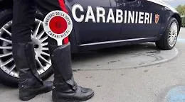 Coltivava cannabis tra le piantine dell'orto: arrestato 43enne