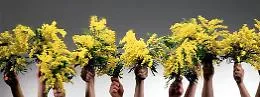Festa della Donna: iniziativa del sindacato dei fiorai della provincia agrigentina