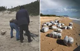 Due sub morti e la droga sulle spiagge, forse c'&egrave; un legame: s'indaga in cinque Procure siciliane