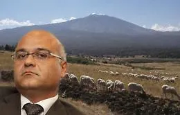 La mafia dei pascoli oltre il protocollo Antoci: la sfida ai boss &laquo;raffinati&raquo;