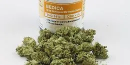 Cannabis terapeutica, la Regione siciliana dispenser&agrave; gratis il farmaco