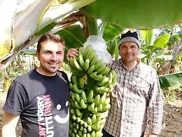 Agricoltura,  l'innovazione dei fratelli Palazzolo: non solo frutti esotici ma anche caff&egrave; dall'aroma siculo