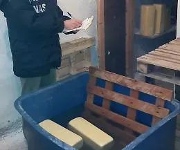 Sequestrati dai Nas a Godrano un caseificio abusivo e 300 kg di formaggi