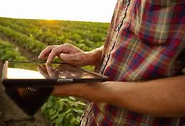 Agricoltura, Sicilia al primo posto in Italia per imprese gestite da "under 35"
