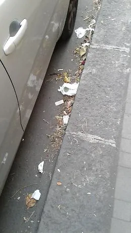Sporcizia perenne lungo i marciapiedi di Via Quieta a Catania