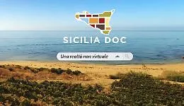 Vino, cresce la doc Sicilia, nel 2019 prodotte 95 milioni di bottiglie (+19% )