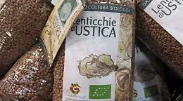 Agricoltura, Sicilia in crisi per la siccit&agrave;, a rischio anche le lenticchie di Ustica