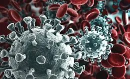 Coronavirus, forse individuato il "paziente zero" che ha portato in Veneto il virus