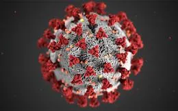 Coronavirus, i casi &ldquo;nascosti&rdquo; potrebbero essere il 60%