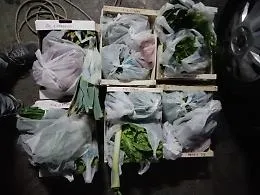 Coronavirus,  boom dei mercatini "a domicilio" per i piccoli produttori dell'Etna
