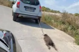 Insulti contro due avvocatesse agrigentine che difendono un uomo che ha ucciso un cane