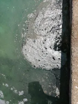 Palermo: strana patina oleosa nella riserva naturale Barcarello-Capo Gallo