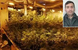 Catania, a San Cristoforo la pi&ugrave; grande piantagione di marijuana mai sequestrata in centro storico