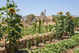Le Giornata Fai e Agrigento si fa ancora pi&ugrave; bella