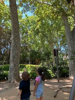 Catania: caduta rami dagli alberi , pericolo per i cittadini