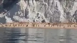 Sbarco &ldquo;fantasma&rdquo; a Siculiana, caccia ai migranti che si sono dileguati