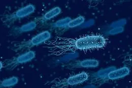 Caltanissetta, donna positiva alla Legionella finisce in Rianimazione