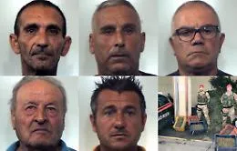 Maxi piantagione di marijuana in un aranceto a Patern&ograve;: 6 arresti
