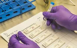 Coronavirus, da giugno in 4 regioni  incremento di casi tra l'80 e il 150%: e c'&egrave; la Sicilia