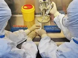 Coronavirus, due vigili urbani positivi al test sierologico a Palermo