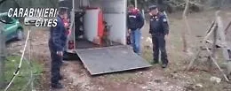 Daini ingabbiati in azienda nel Palermitano: un denunciato