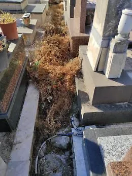 Cimitero di Lentini (SR) ridotto a discarica