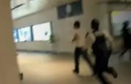 Catania, affronta l'uomo che gli ha rubato lo scooter e lo fa arrestare