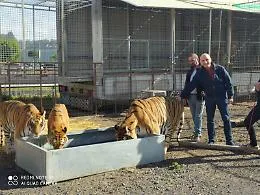 Catania, l&rsquo;AIRA distribuisce pacchi spesa ai bisognosi e al personale del circo