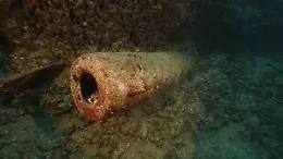 Recuperata un'anfora a siluro nel mare di Porticello