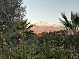 Una bella veduta dell'Etna