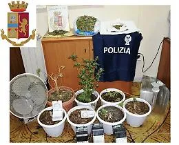 Niscemi, coltivavano marijuana in casa: fratelli arrestati dalla Polizia