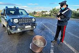 Palagonia, 30 chili di prodotti ittici non tracciati: denunciato ambulante abusivo