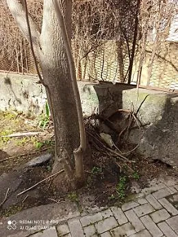 Catania: muro pericolante in via Martoglio
