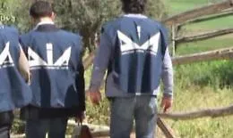 Dia confisca beni per 12 milioni nel Nisseno: c'&egrave; anche la riserva di caccia dei boss