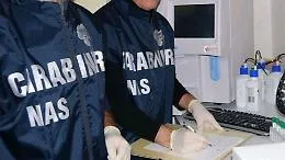 Palermo, Nas scoprono un falso dentista