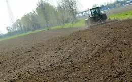 Giovani tornano a lavorare nei campi: Sicilia al primo posto