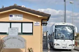 Enpa recupera 14 cani all'interno del Cara di Mineo: cercano famiglia