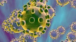 Coronavirus, il Commissario Covid incontra i sindaci del comprensorio saccense