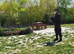 Coronavirus, facevano un barbecue in un parco di Bologna: denunciati