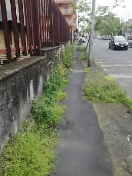 Catania: via Ferrante Aporti, necessita scerbatura