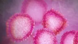 Virus, tracce anche nell'acqua: da aria a superfici le vie del contagio