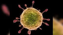 Coronavirus, bimba morta: negativo anche il secondo tampone