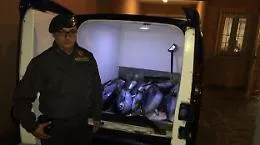 Bagheria, tonno e pesce spada non "tracciabili": maxi sequestro della GdF