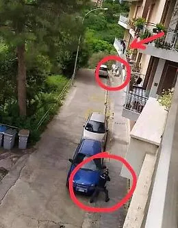 Mucca uccisa a Ragusa, Lav: &laquo;Bastava poco per salvarla&raquo;