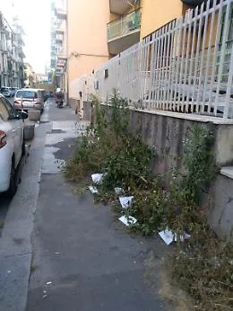 Catania: "Via Napoli non &egrave; una giungla"