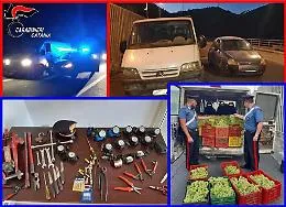 Avevano appena rubato quattro tonnellate
di uva ma arrivano i carabinieri: 6 arresti